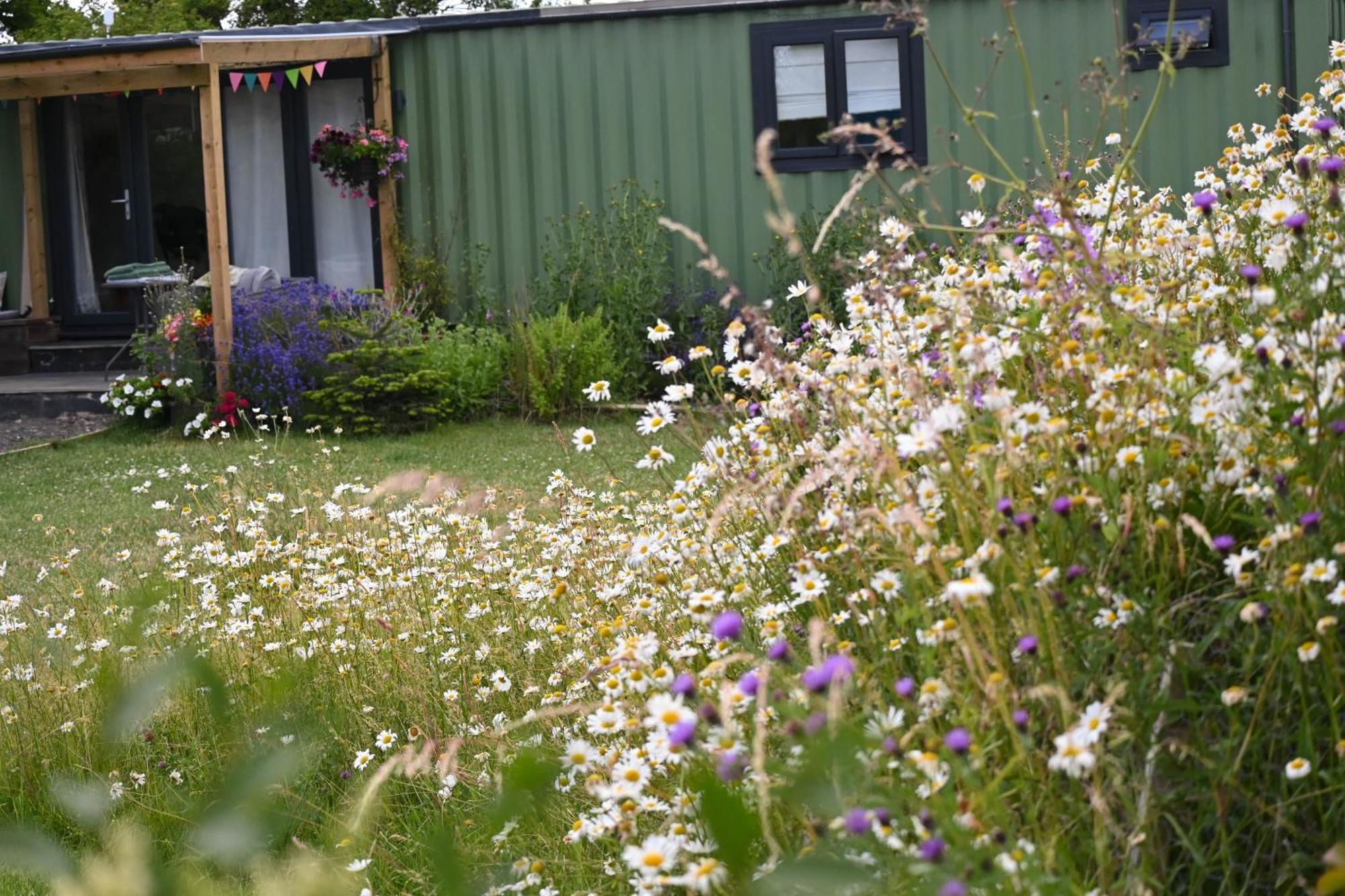 Sweet Pea Cabin Badsey Eksteriør billede