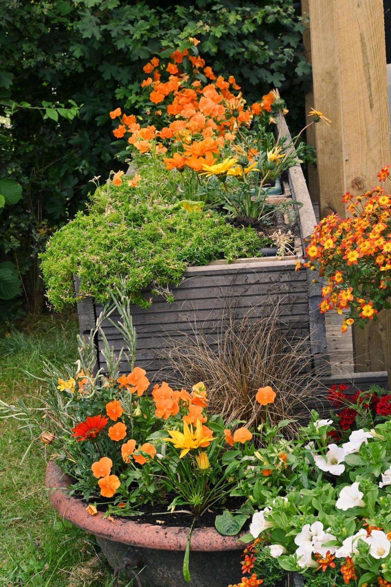 Sweet Pea Cabin Badsey Eksteriør billede